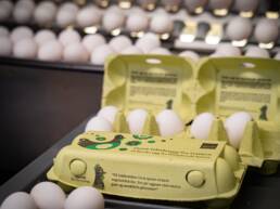 Foto: Ren Røros Frontal