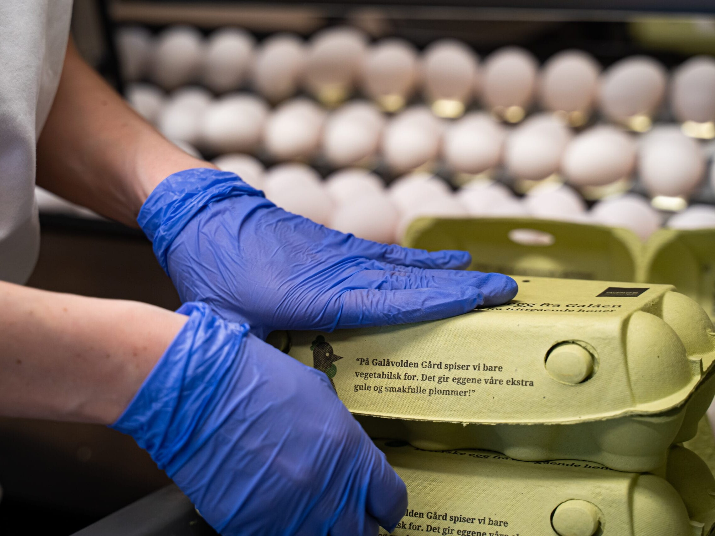 Foto: Fredrik Solstad