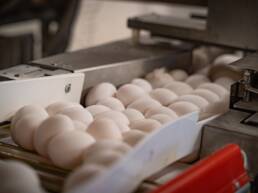 Foto: Ren Røros Frontal